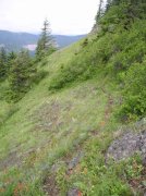 6.10.06 Table Mtn_3CR 106 